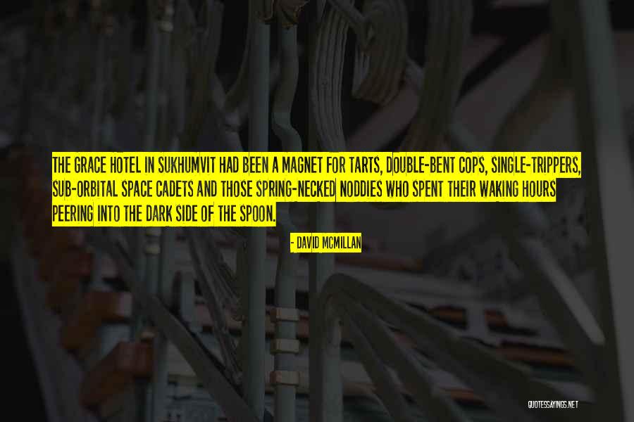 Side The Hotel Quotes By David McMillan Side The Hotel Quotes By David McMillan