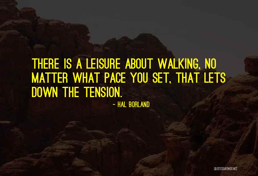 Sidearmor Shotgun Quotes By Hal Borland Sidearmor Shotgun Quotes By Hal Borland