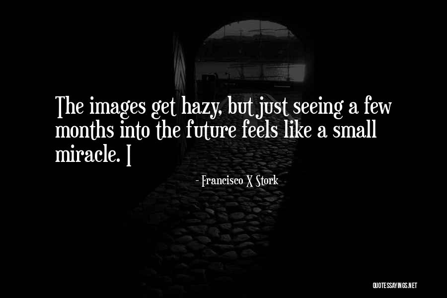 Sideling Mountain Quotes By Francisco X Stork Sideling Mountain Quotes By Francisco X Stork