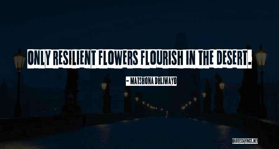 Sidelong Sweep Quotes By Matshona Dhliwayo Sidelong Sweep Quotes By Matshona Dhliwayo