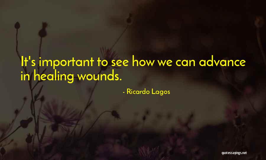Sidemen House Quotes By Ricardo Lagos Sidemen House Quotes By Ricardo Lagos