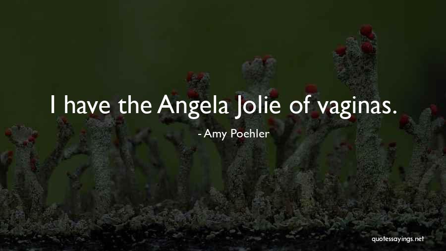 Siderastreidae Quotes By Amy Poehler Siderastreidae Quotes By Amy Poehler