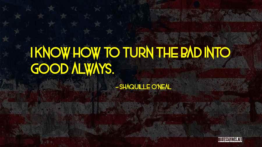 Sidetracking Me When I Was Good Quotes By Shaquille O'Neal