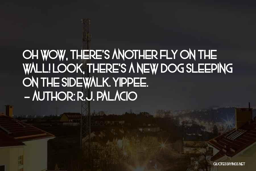 Sidewalk Quotes By R.J. Palacio