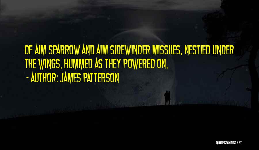 Sidewinder Quotes By James Patterson