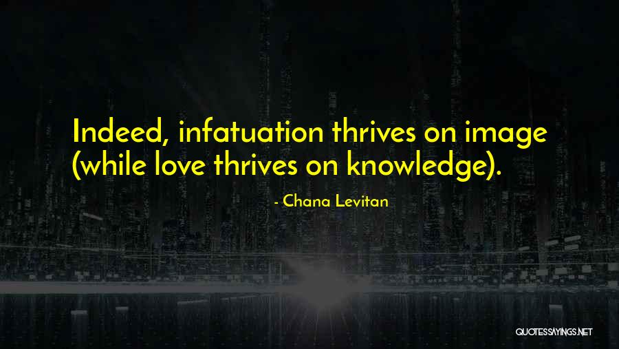 Sidewinders American Quotes By Chana Levitan Sidewinders American Quotes By Chana Levitan
