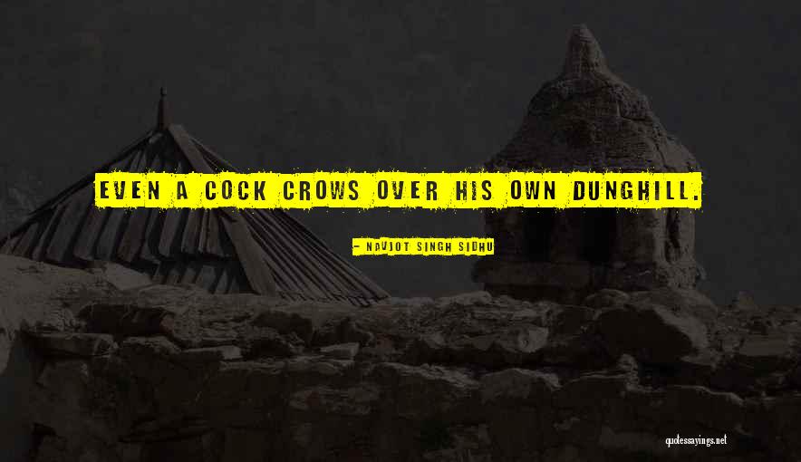 Sidhu Singh Quotes By Navjot Singh Sidhu Sidhu Singh Quotes By Navjot Singh Sidhu