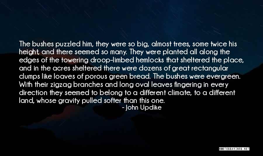 Sidibe Singer Quotes By John Updike Sidibe Singer Quotes By John Updike