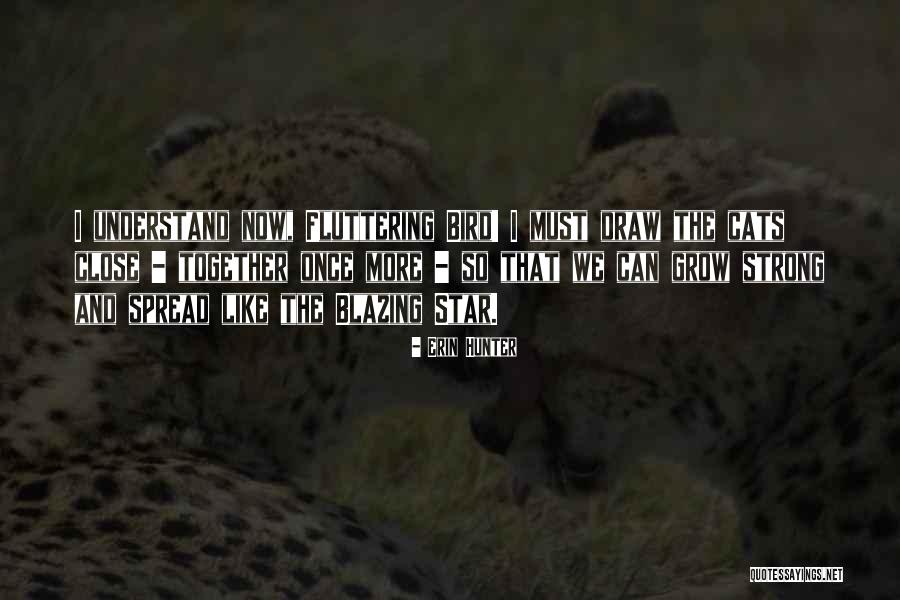 Sidiki Quotes By Erin Hunter Sidiki Quotes By Erin Hunter