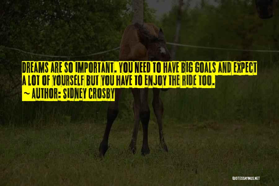 Sidney Crosby Quotes 287277