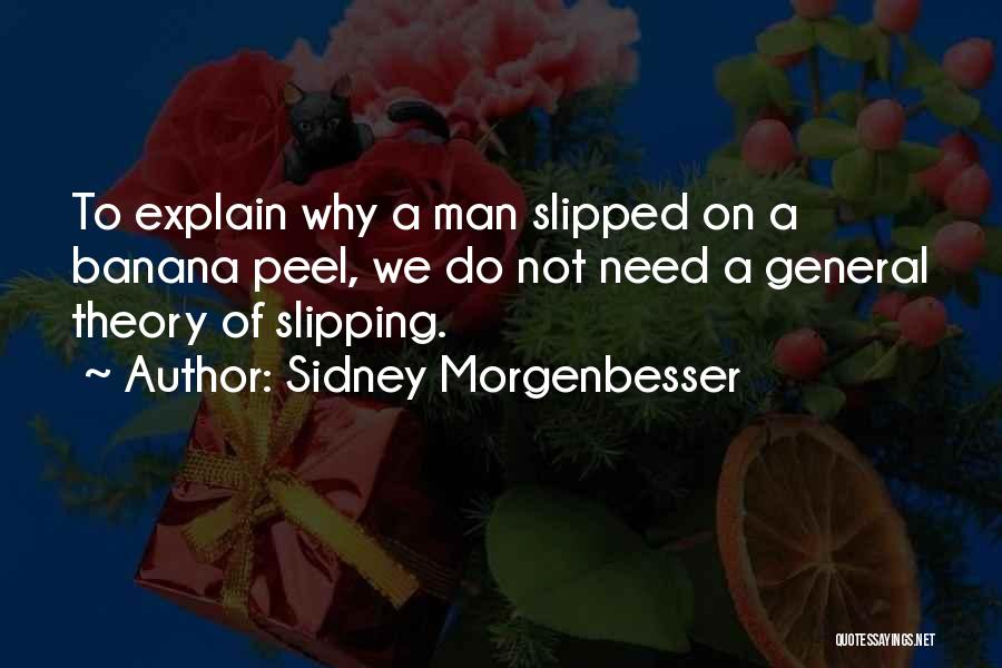 Sidney Morgenbesser Quotes 442049