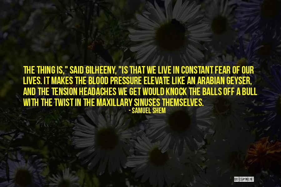 Sidneys Spices Quotes By Samuel Shem Sidneys Spices Quotes By Samuel Shem