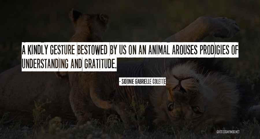 Sidonie Gabrielle Colette Quotes 1497750 Sidonie Gabrielle Colette Quotes 1497750