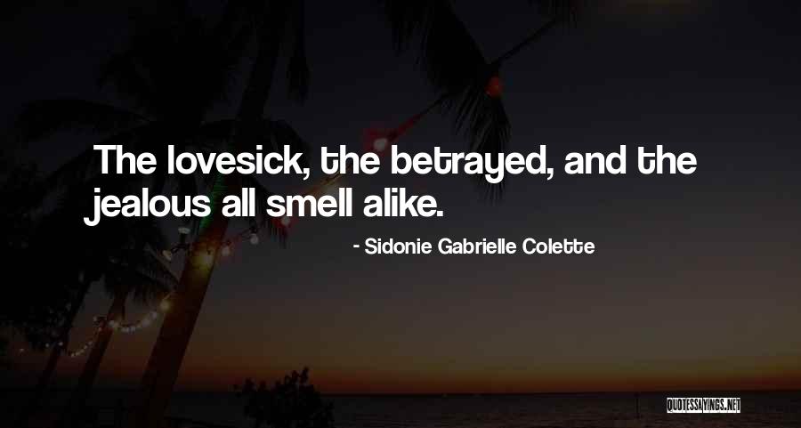 Sidonie Gabrielle Colette Quotes 1605262