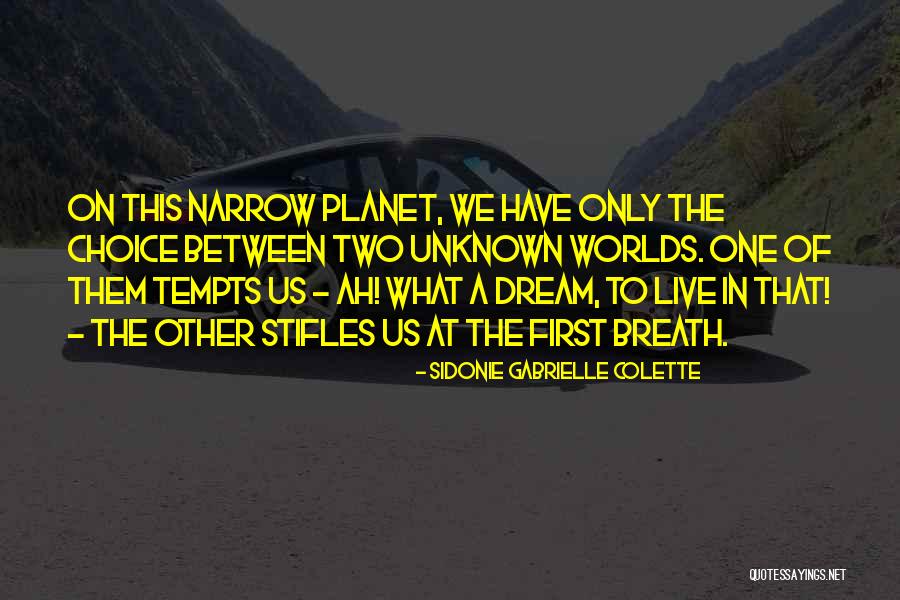 Sidonie Gabrielle Colette Quotes 1706691