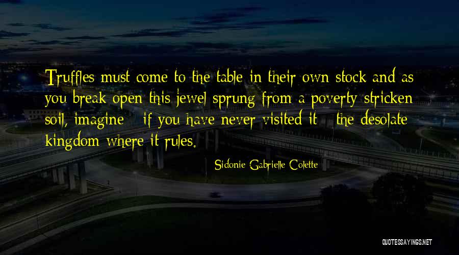 Sidonie Gabrielle Colette Quotes 896223 Sidonie Gabrielle Colette Quotes 896223