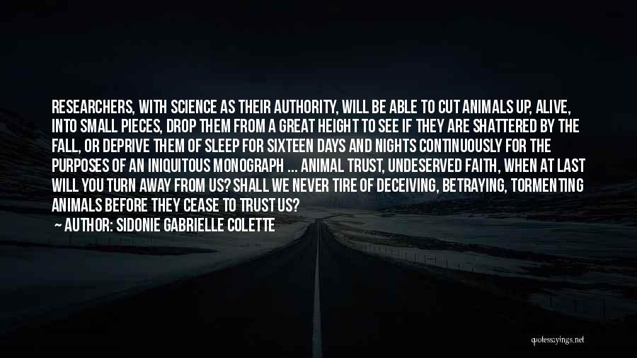 Sidonie Gabrielle Colette Quotes 905818