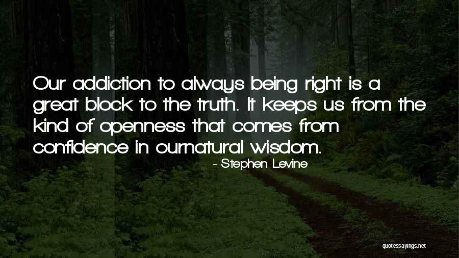 Sidwell Summer Quotes By Stephen Levine Sidwell Summer Quotes By Stephen Levine