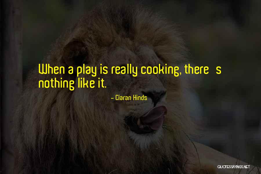 Siebenhaar Gearbox Quotes By Ciaran Hinds Siebenhaar Gearbox Quotes By Ciaran Hinds