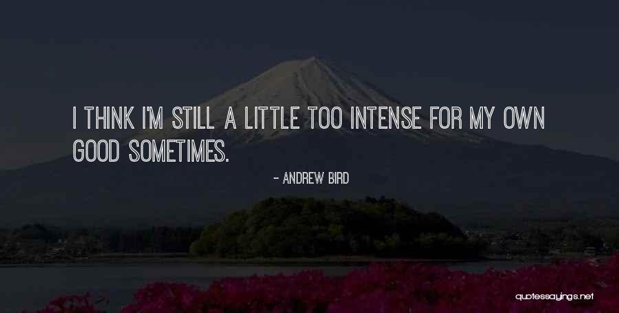 Siegal Lifelong Quotes By Andrew Bird Siegal Lifelong Quotes By Andrew Bird