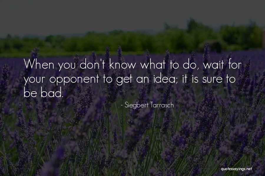 Siegbert Tarrasch Quotes 1963530 Siegbert Tarrasch Quotes 1963530