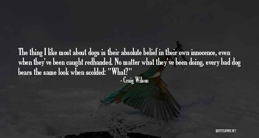 Siege Of Gaza Quotes By Craig Wilson Siege Of Gaza Quotes By Craig Wilson