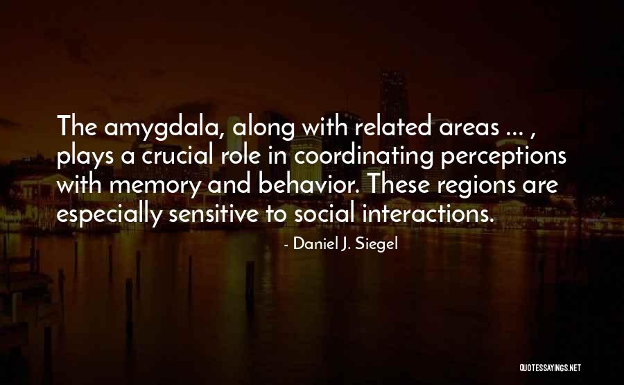 Siegel Quotes By Daniel J. Siegel Siegel Quotes By Daniel J. Siegel