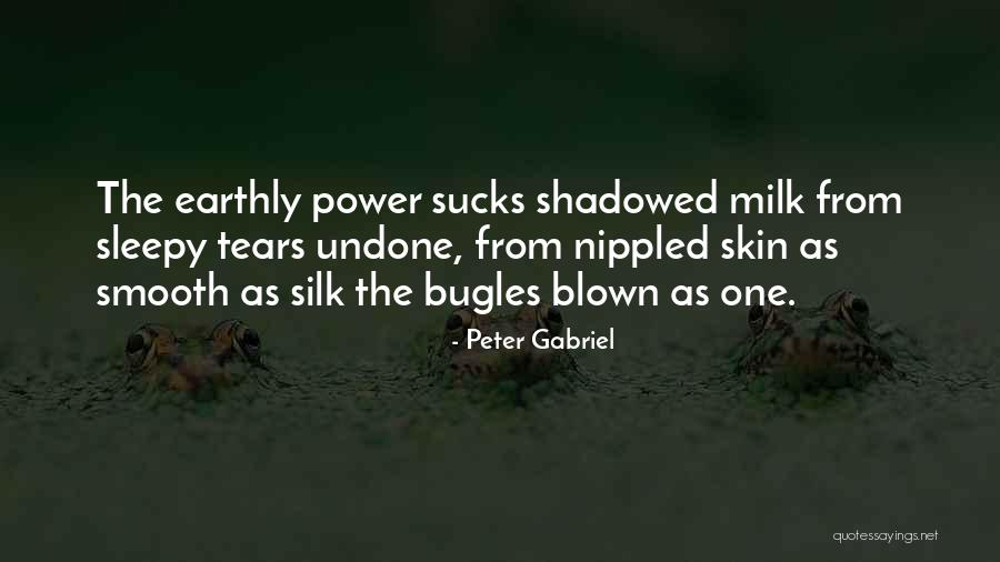 Siegelman Cakes Quotes By Peter Gabriel Siegelman Cakes Quotes By Peter Gabriel