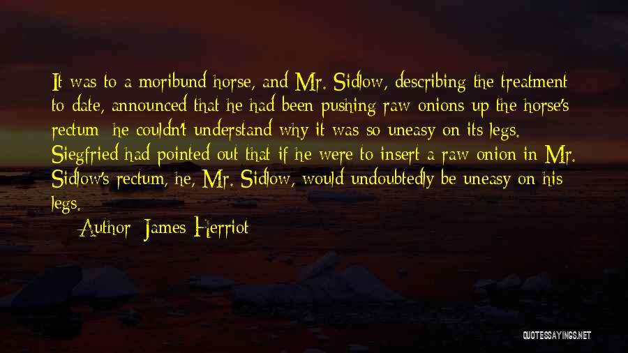 Siegfried Quotes By James Herriot