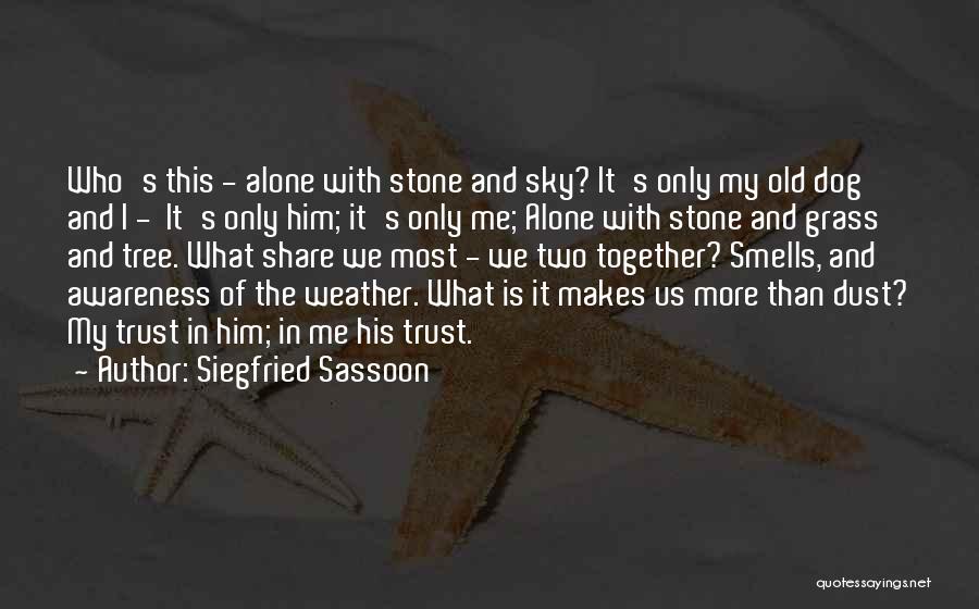Siegfried Sassoon Quotes 815065