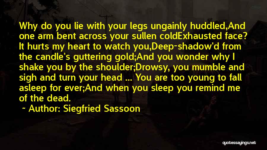 Siegfried Sassoon Quotes 976026