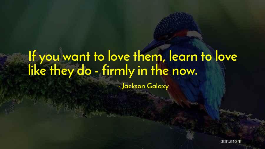 Sieku Quotes By Jackson Galaxy Sieku Quotes By Jackson Galaxy
