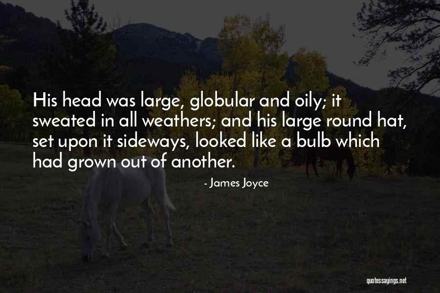 Sielos Gelmes Quotes By James Joyce Sielos Gelmes Quotes By James Joyce