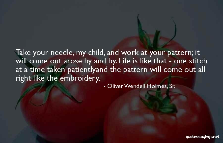Sielunvihollinen Quotes By Oliver Wendell Holmes, Sr. Sielunvihollinen Quotes By Oliver Wendell Holmes, Sr.