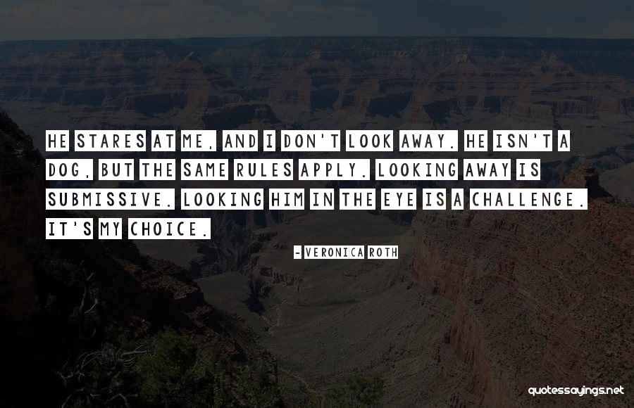 Sienese School Quotes By Veronica Roth Sienese School Quotes By Veronica Roth