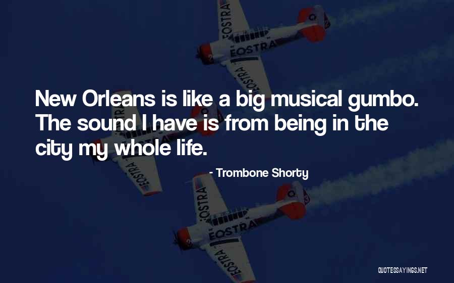 Sienisalaatti Quotes By Trombone Shorty Sienisalaatti Quotes By Trombone Shorty