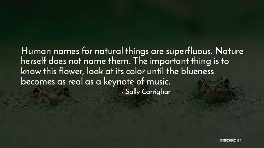 Siepre A Tu Quotes By Sally Carrighar