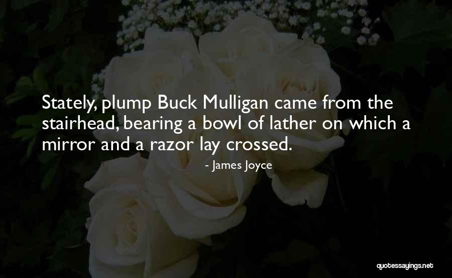 Sierra Siberian Husky Quotes By James Joyce Sierra Siberian Husky Quotes By James Joyce