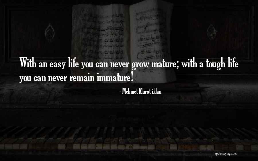 Siervas De Jesus Quotes By Mehmet Murat Ildan Siervas De Jesus Quotes By Mehmet Murat Ildan