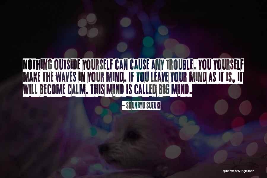 Siete Iglesias De Robert Quotes By Shunryu Suzuki Siete Iglesias De Robert Quotes By Shunryu Suzuki