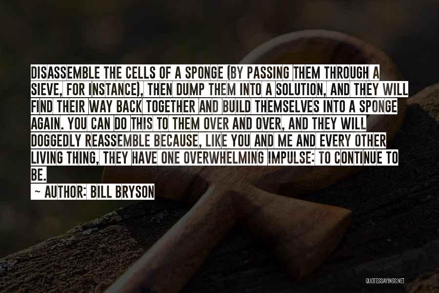 Sieve Quotes By Bill Bryson