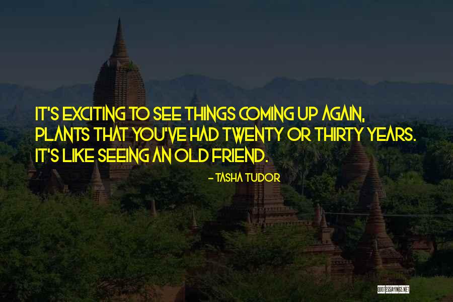 Sifakis Quotes By Tasha Tudor Sifakis Quotes By Tasha Tudor