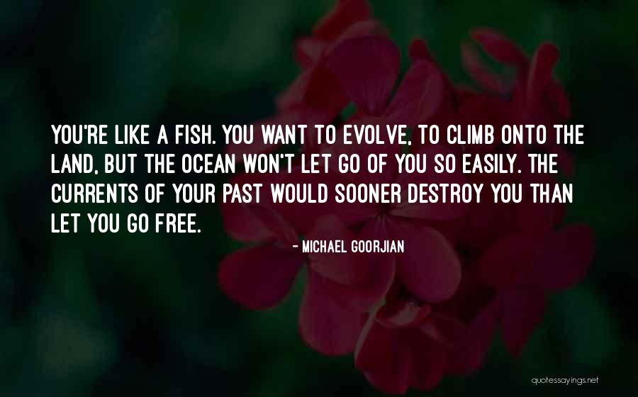 Sifiscal Quotes By Michael Goorjian Sifiscal Quotes By Michael Goorjian