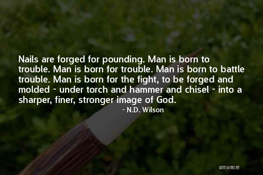 Sifting Cat Quotes By N.D. Wilson Sifting Cat Quotes By N.D. Wilson