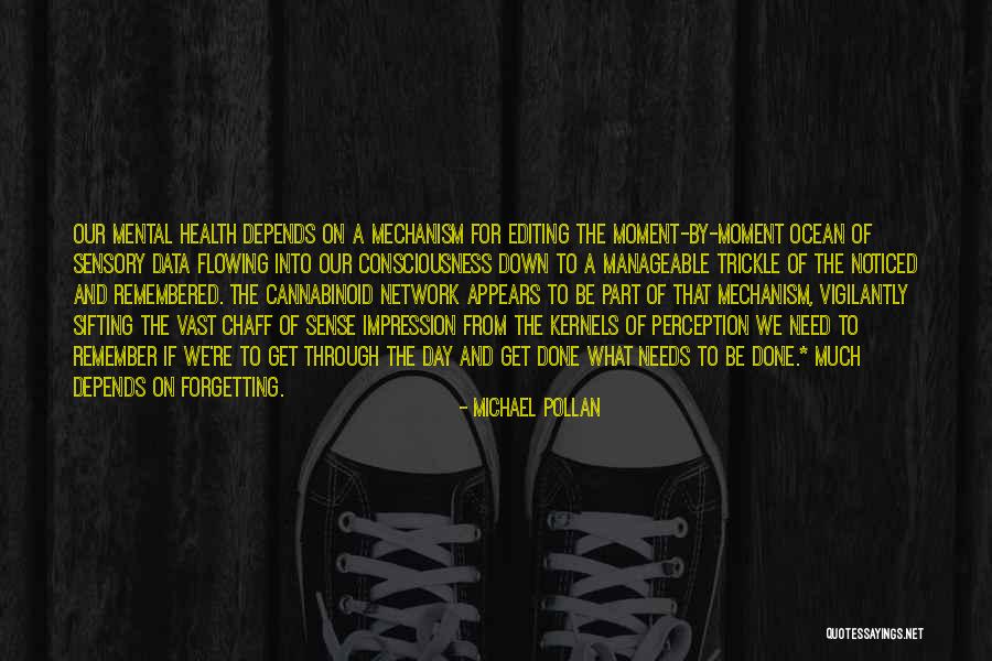 Sifting Out Quotes By Michael Pollan Sifting Out Quotes By Michael Pollan
