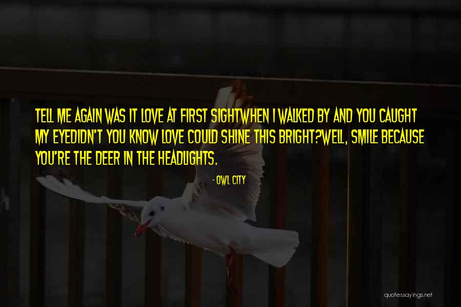 Sight And Love Quotes By Owl City