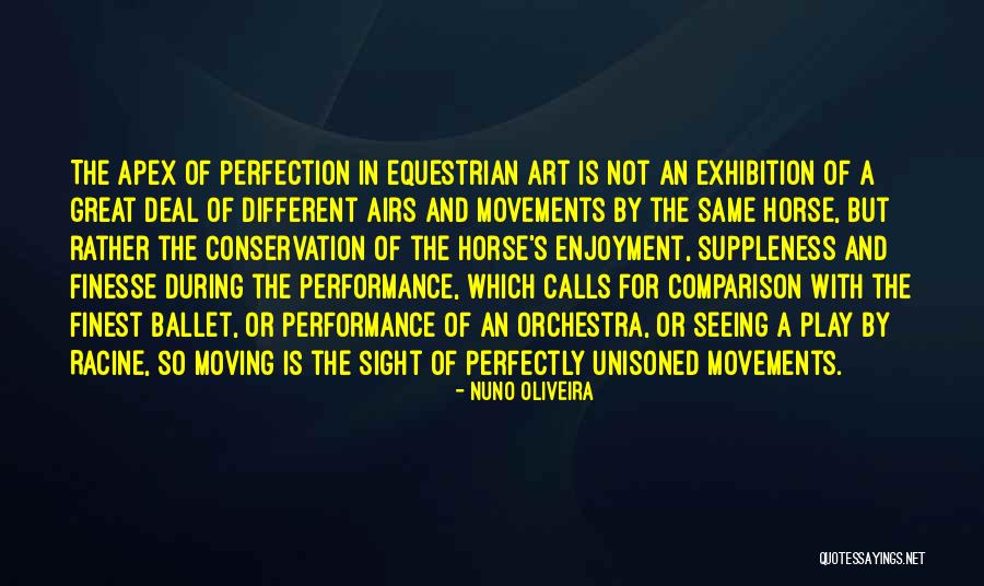 Sight And Seeing Quotes By Nuno Oliveira Sight And Seeing Quotes By Nuno Oliveira