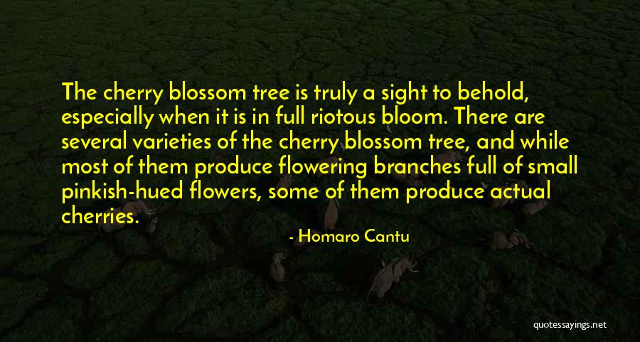 Sight To Behold Quotes By Homaro Cantu Sight To Behold Quotes By Homaro Cantu