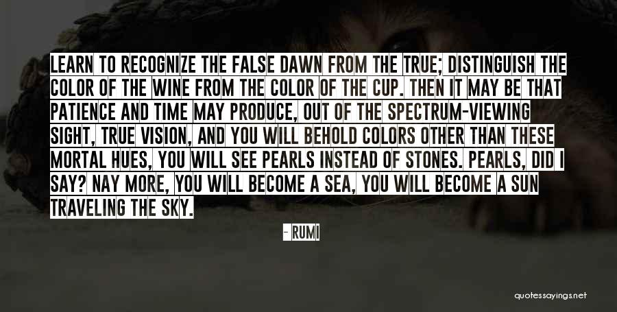 Sight To Behold Quotes By Rumi Sight To Behold Quotes By Rumi