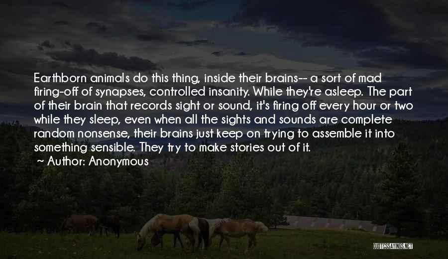 Sights And Sounds Quotes By Anonymous